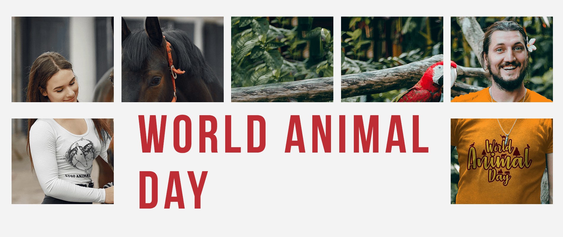 World Animal Day Design Challenge